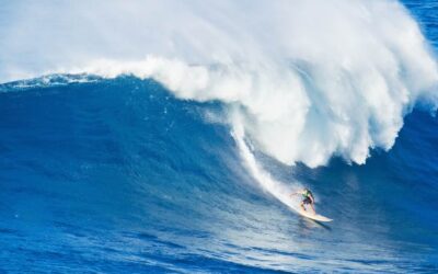 Riding The Market Waves