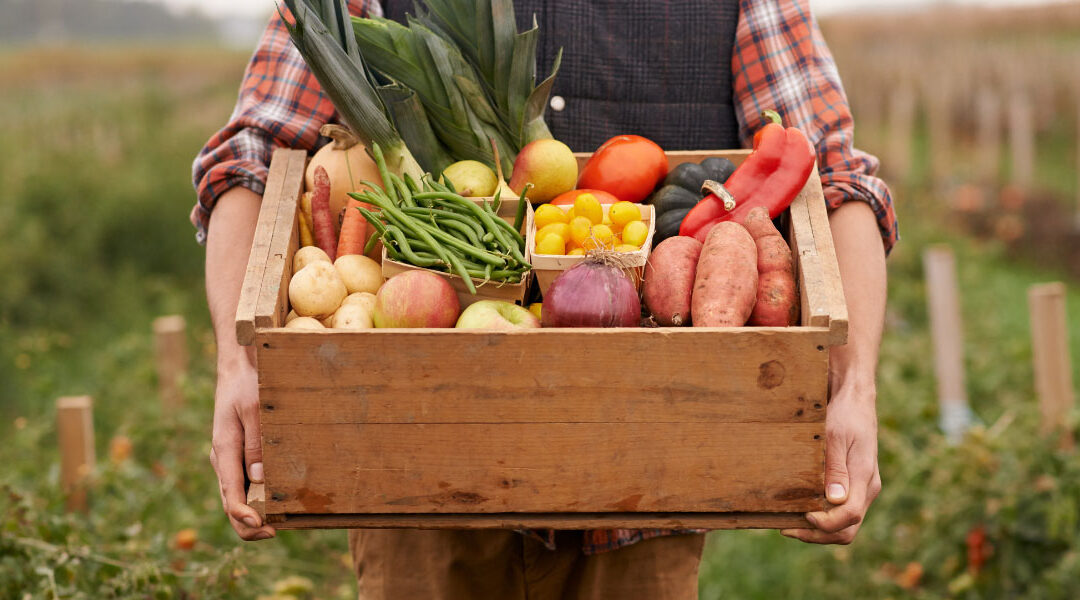 That Small Farm Dream… And Tax Deductions