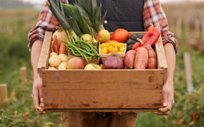 That Small Farm Dream… And Tax Deductions