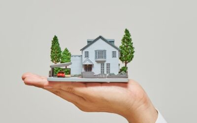 Small-Scale Subdivision And Property Development